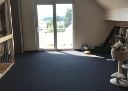 photo10